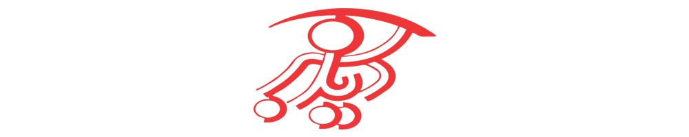 نمایندگی دید سبز ایران