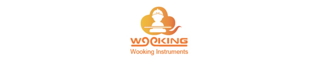 نمایندگی WOOKING چین